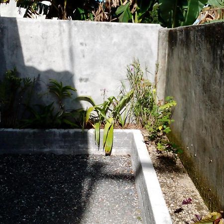 Radiya Guesthouse ซัมบาลัง ลาวัง ห้อง รูปภาพ