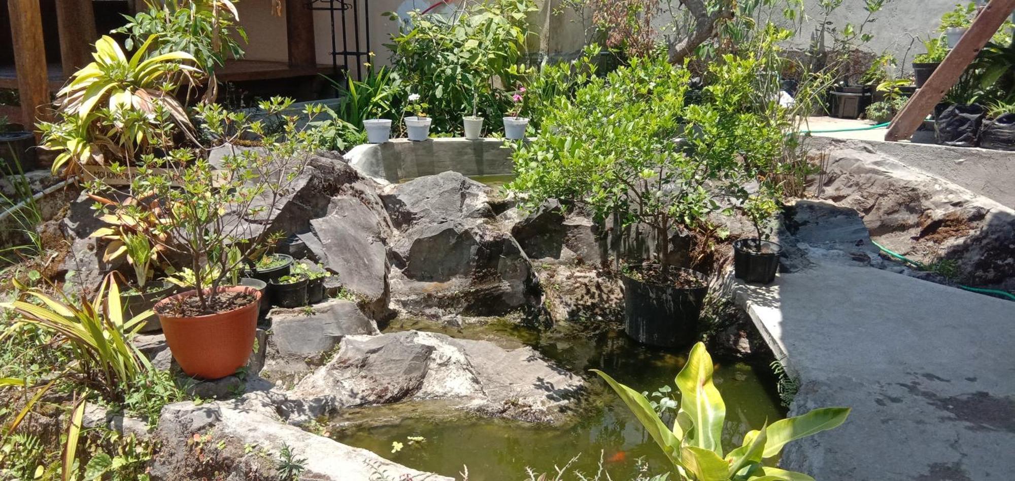 Radiya Guesthouse ซัมบาลัง ลาวัง ห้อง รูปภาพ